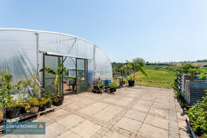 Polytunnel- click for photo gallery